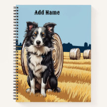 Grens Collie op Boerderij
