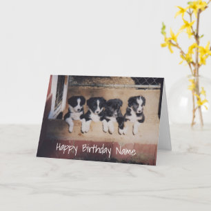 Grens Collie Puppies Persoonlijke Birthday Kaart