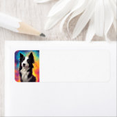 grens collie rainbow bg etiket (Insitu)