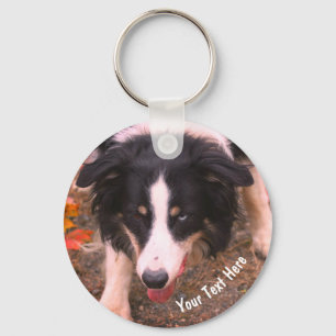 Grens Collie Stare Dog Persoonlijk Sleutelhanger