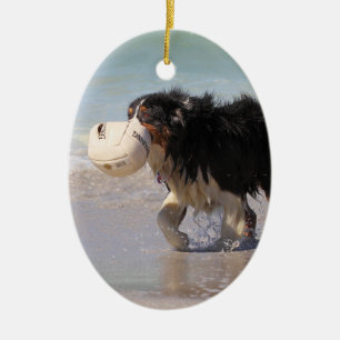 Grens Collie - Voetbal Iemand? Keramisch Ornament