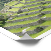 grens peruv llama poster (Hoek)