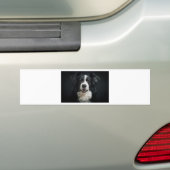 grenscollie bumpersticker (Op auto)
