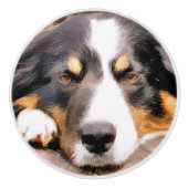 GRENSCOLLIE KERAMISCHE KNOP (Voorkant)