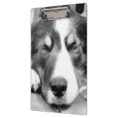 GRENSCOLLIE KLEMBORD (Links)