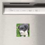 GRENSCOLLIE MAGNEET (Insitu (Vaatwasser))