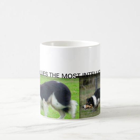 GRENSCOLLIE-MOK KOFFIEMOK (Center)