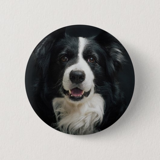 grenscollie ronde button 5,7 cm (Voorkant)