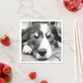 GRENSCOLLIE SERVET (Insitu)