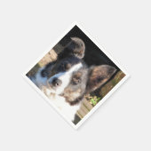 GRENSCOLLIE SERVETTEN (Hoek)