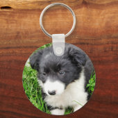 GRENSCOLLIE SLEUTELHANGER (Voorkant)