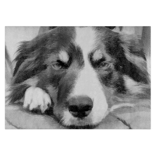 GRENSCOLLIE SNIJPLANK (Voorkant)