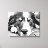 GRENSCOLLIES CANVAS AFDRUK (Voorkant)