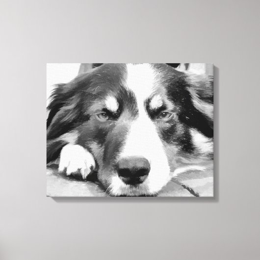 GRENSCOLLIES CANVAS AFDRUK (Voorkant)