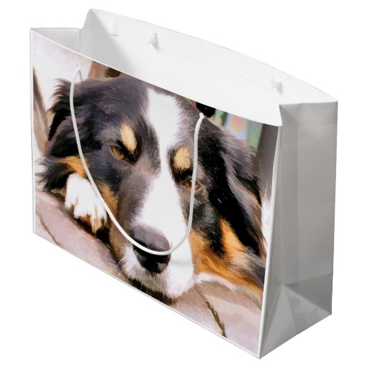 GRENSCOLLIES GROOT CADEAUZAKJE (Achterkant Gekanteld)