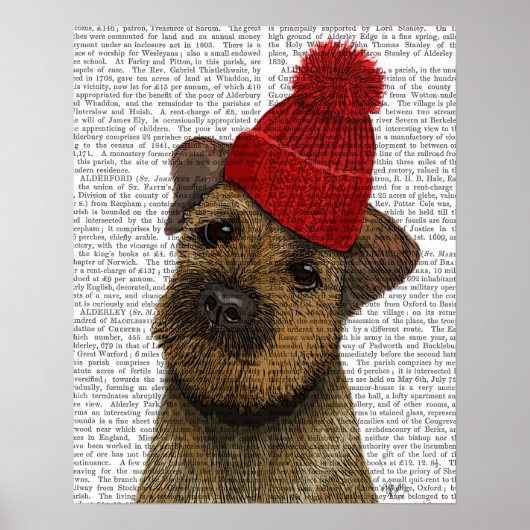 Grensdrager met Pet met rode klossen Poster (Voorkant)