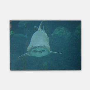Grenshaai Post-it® Notes