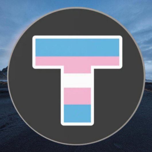Grès Capitale de la fierté trans T Dessous de verre en