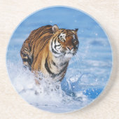 Grès Dessous de verre en pierre de Tiger (Devant)