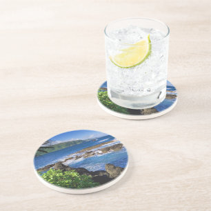 Grès Dessous de verre en pierre tropicale océanique