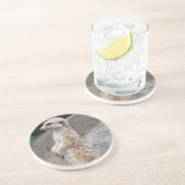 Grès Dessous de verre portés en équilibre de Meerkat (Côté)