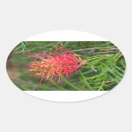 Grevillea bloem stickers