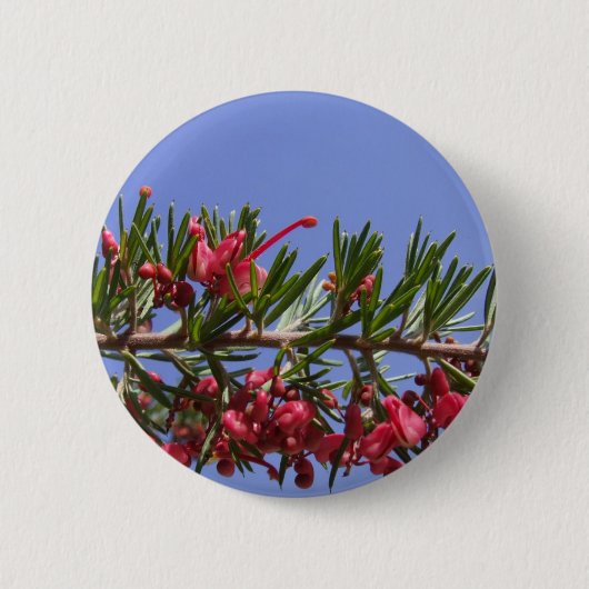 Grevillea Button (Voorkant)