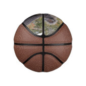 Grevillea Koala Beer, Basketbal (Rechts)