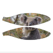 Grevillea Koala Beer, Basketbal (Panelen)