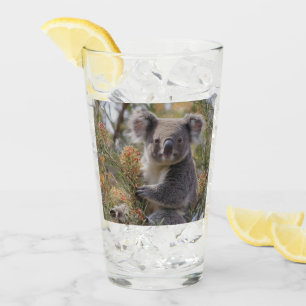 Grevillea Koala Beer, Glas