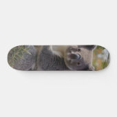 Grevillea Koala Beer, Skateboard (Horizontaal)