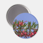Grevillea Plante Magnet (Recto/Verso)