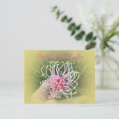 Grevillia Pink Briefkaart (Staand voorkant)