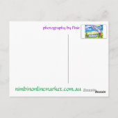 Grevillia Pink Briefkaart (Achterkant)