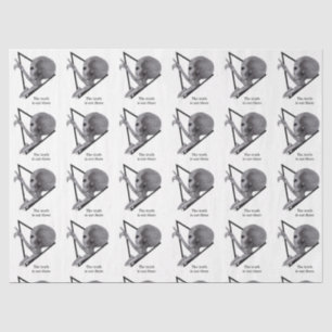 Grey Alien, de waarheid is er Tissuepapier