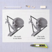 Grey Alien, de waarheid is er Tissuepapier (Craft)