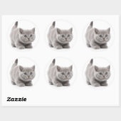 Grey Cat Classic Ronde Sticker (Vel)