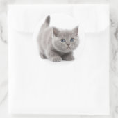 Grey Cat Classic Ronde Sticker (Tas)