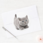 Grey Cat Classic Ronde Sticker (Envelop)