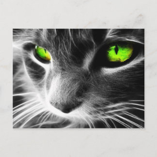 Grey Cat Green Eyes Briefkaart