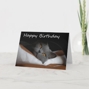 Grey Cat Happy Birthday Kaart