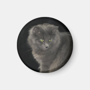 Grey Cat Long Hair Russisch Blauw Kat Kitten Cute Magneet