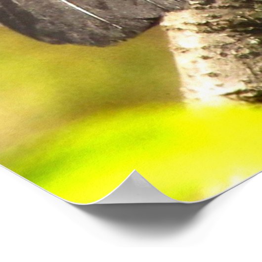 Grey Catbird Chante Son Affiche De Chanson (Coin)