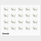 Grey Catbird Vogel Art Sticker (Vel)