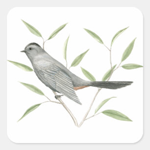 Grey Catbird Vogel Art Sticker