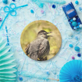 Grey Catbird Zingend zijn Bord van Song Paper (Feest)