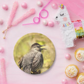 Grey Catbird Zingend zijn Bord van Song Paper (Feest)