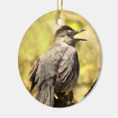 Grey Catbird Zingend zijn Song Ornament (Links)