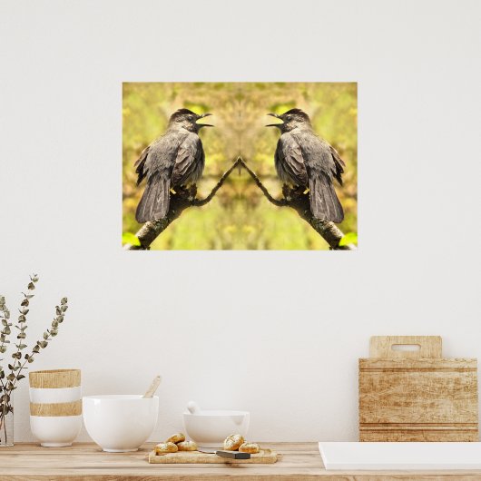 Grey Catbirds Chante Son Affiche De Chanson (Cuisine)