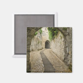 Grey Cobblestone street, Frankrijk Magneet (Voorkant / Achterkant)